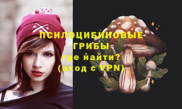 ешки Алексин