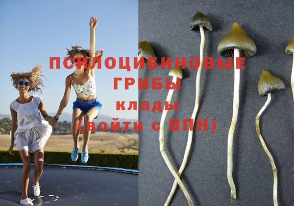 бошки Алзамай