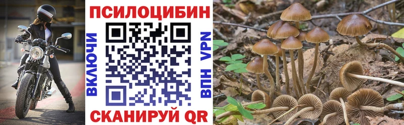 Галлюциногенные грибы прущие грибы  Энгельс 